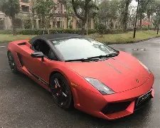 积极促进我,国生态文明,建设迈上新,开云体育,开云体育官网,开云体育app,开云体育平台,KAIYUN,SPORTS,kaiyun登录入口