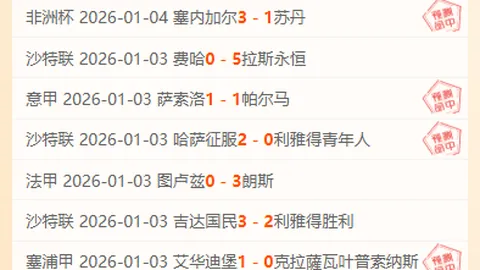 开云平台官方网皇马赞助商 产品 092532 2eu