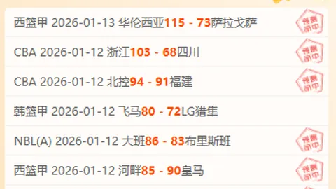 洛杉矶山火导致NBA比赛延期进行