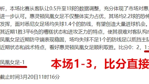 大乐透期号专家质合分析：前区十码推荐，老虎反击美冠杯解析